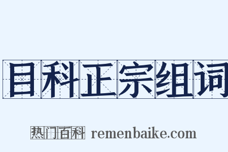 目科正宗组词是什么意思的图片